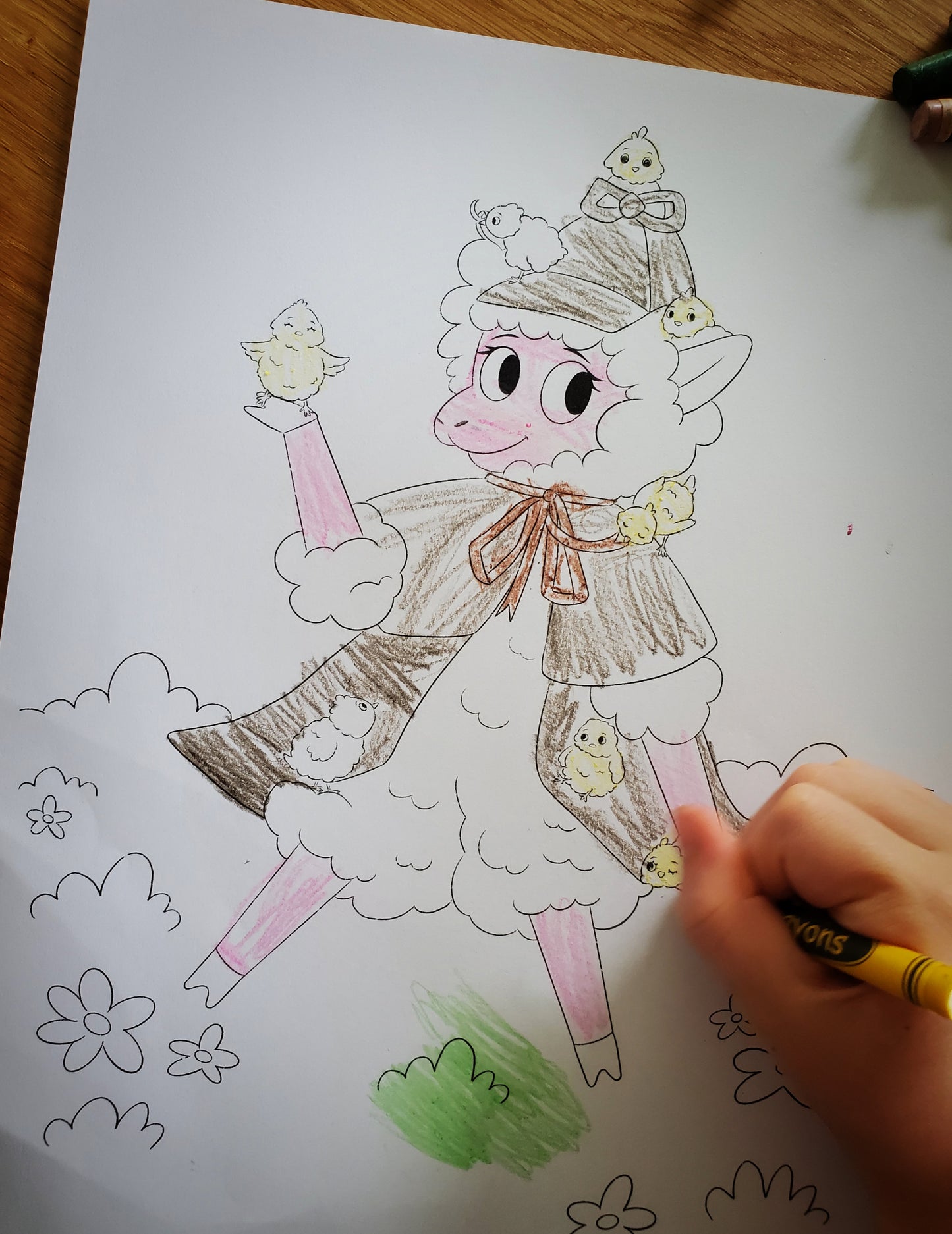 The Chick Chase | A Mini Farm-Themed Detective Mystery Game for Spy Kids