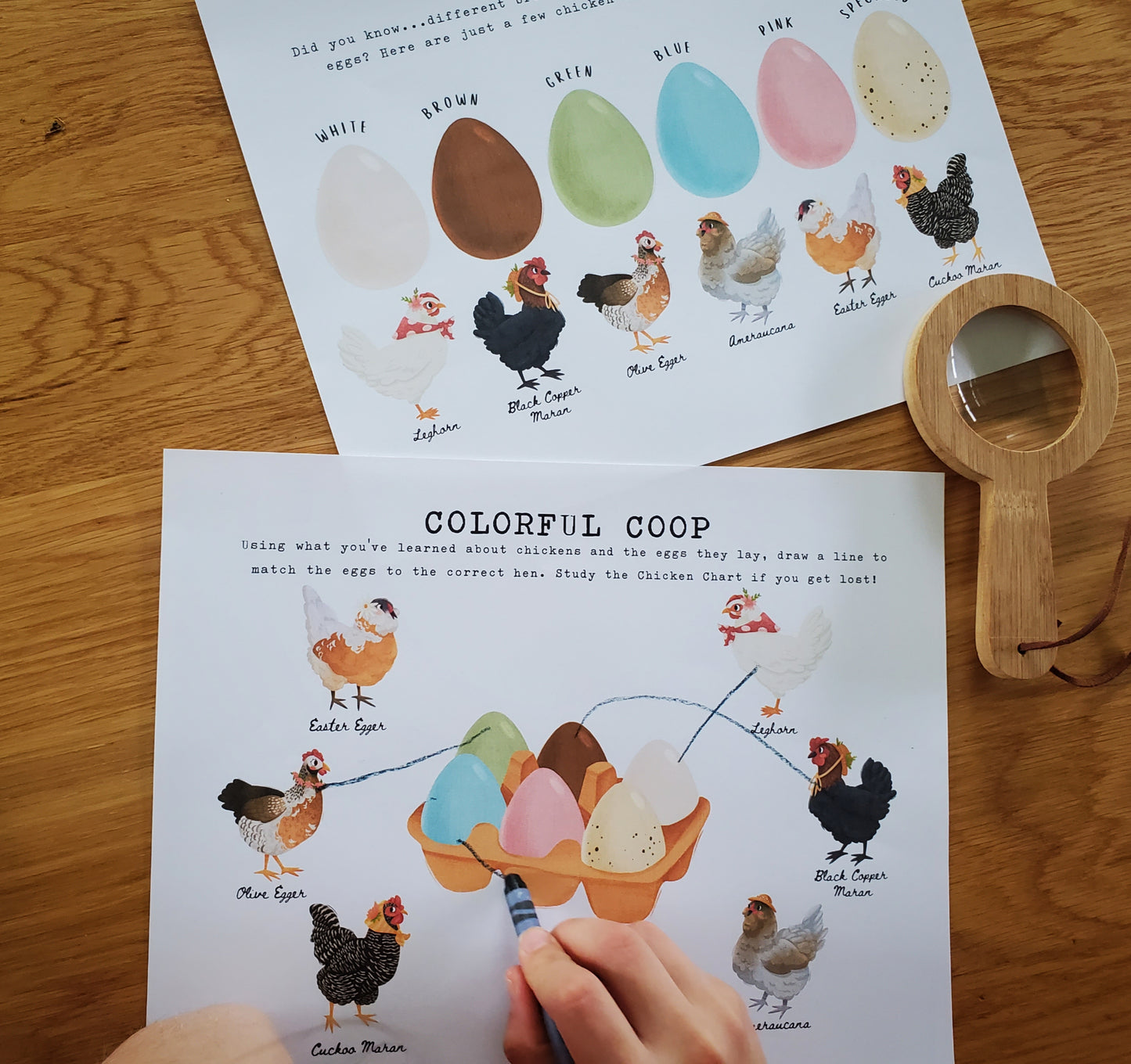 The Chick Chase | A Mini Farm-Themed Detective Mystery Game for Spy Kids