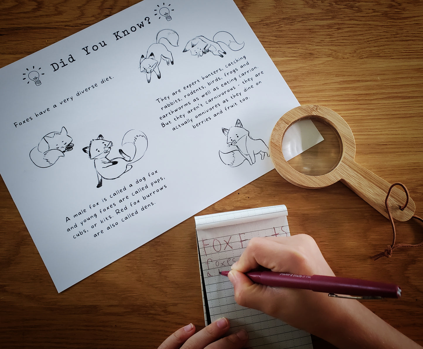 The Forest Fiend | A Berry-Thieving Printable Detective Mystery for Spy Kids!